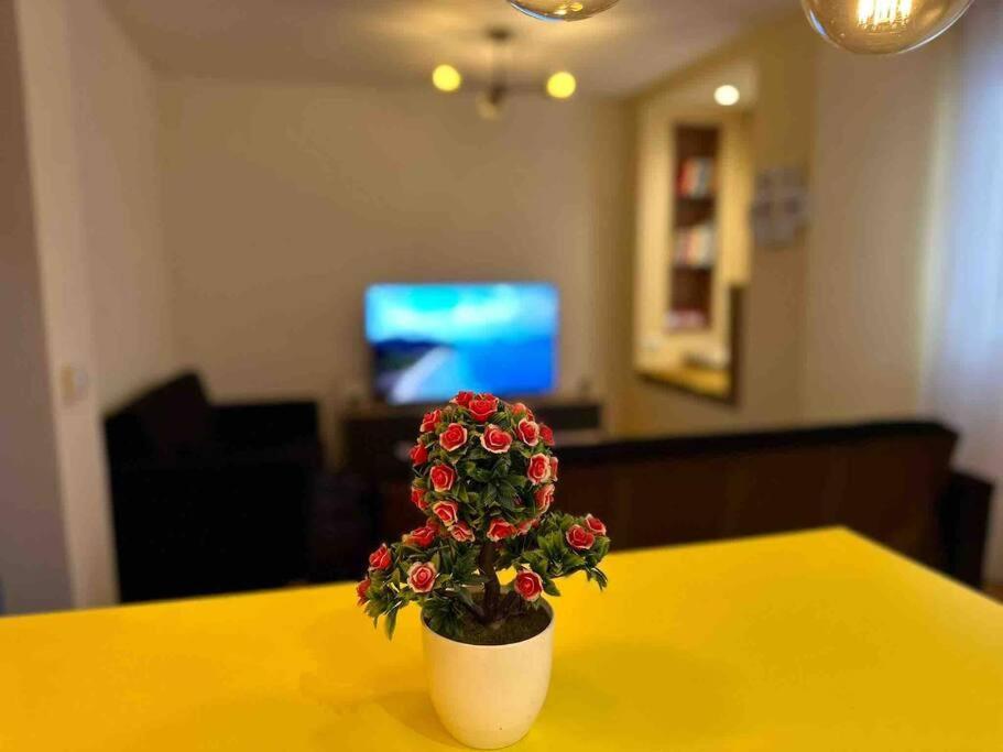 Ora-Prn,Peaceful Central Apartment Priştine Dış mekan fotoğraf